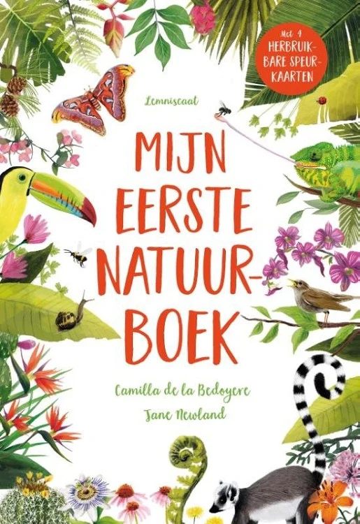 Miniatuur 1